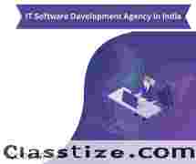 IT Software Development Agency in India